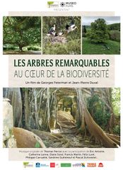 Les arbres remarquables : au cœur de la biodiversité